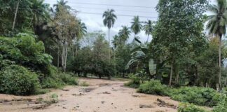 Davao glissements de terrain
