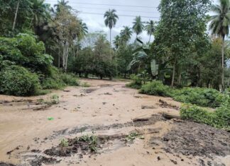 PHILIPPINES – CATASTROPHE : 20 morts dans des glissements de terrain à Davao de Oro Davao glissements de terrain
