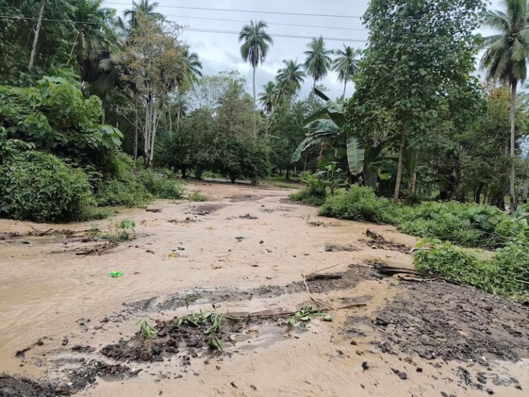 PHILIPPINES – CATASTROPHE : 20 morts dans des glissements de terrain à Davao de Oro