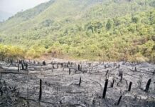 déforestation Laos