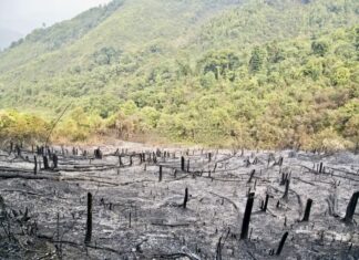 LAOS – ENVIRONNEMENT : Les brûlis, l’agriculture de tous les dangers déforestation Laos