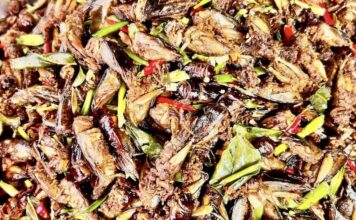 CAMBODGE – GASTRONOMIE : Le marché cambodgien des insectes en plein essor grillons Cambodge