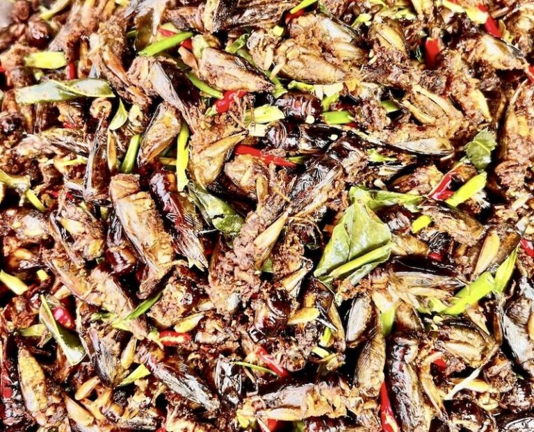 CAMBODGE –  GASTRONOMIE : Le marché cambodgien des insectes en plein essor
