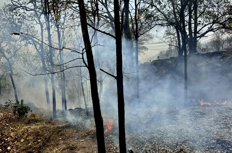 Incendie forêt Thaïlande