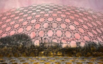 BANGKOK – CULTURE : Invisible Town : une exploration artistique des réalités cachées de Bangkok Invisible town expo