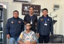 Guide touristique russe