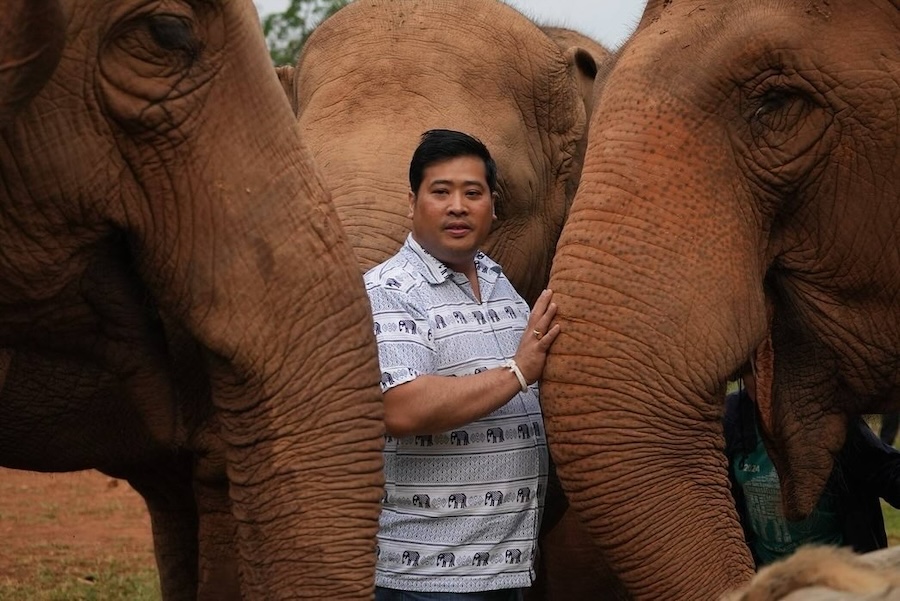 Vacharaesorn Vivacharawongse au milieu éléphants