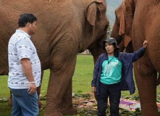 THAÏLANDE – MONARCHIE : La famille royale, protectrice des animaux Vacharaesorn Vivacharawongse éléphants
