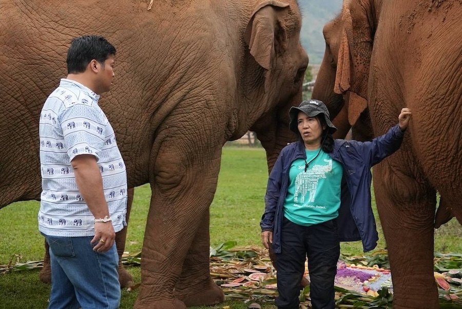 Vacharaesorn Vivacharawongse éléphants