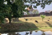 centre de Chiang Mai