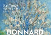 ASIE – FRANCE : Découvrez Pierre Bonnard et sa passion du Japon à Aix en Provence