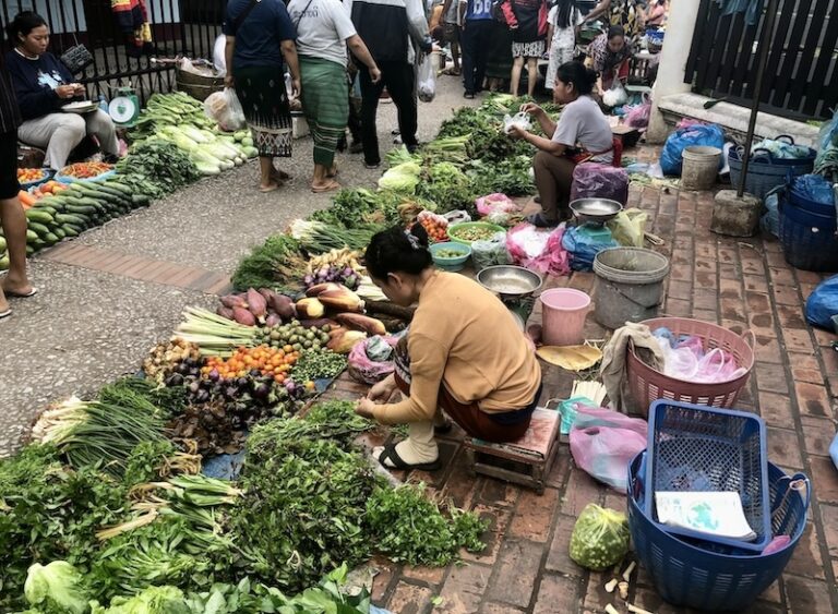 LAOS – ÉCONOMIE : L’inflation ralentit à 8,3 % en mai