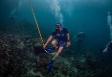 THAÏLANDE – TOURISME : Le parc national de Phi Phi lance des poursuites touristes Phi Phi