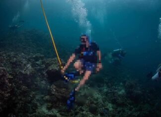 THAÏLANDE – TOURISME : Le parc national de Phi Phi lance des poursuites touristes Phi Phi