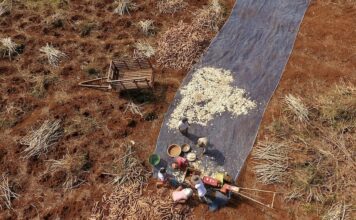 agriculture Asie sud-est