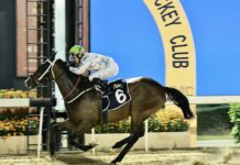 MACAO – TRADITION : Le champ de courses hippiques de Macao va fermer Macao Jockey Club