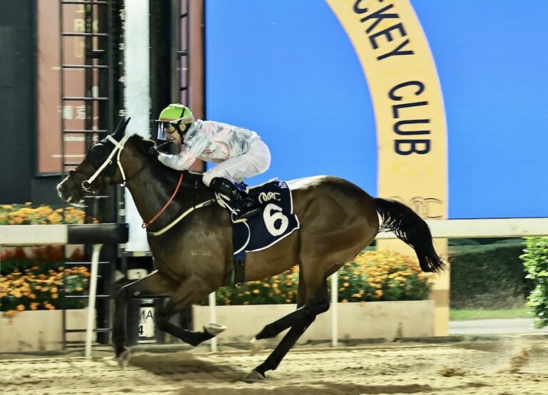 MACAO – TRADITION : Le champ de courses hippiques de Macao va fermer
