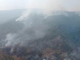 THAÏLANDE – SOCIÉTÉ : Chiang Mai étouffe sous un nouvel épisode de pollution Province Chiang Mai