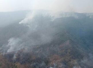 THAÏLANDE – POLLUTION : Chiang Mai : Triste record, la ville en état d’urgence Province Chiang Mai