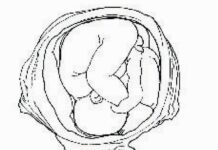 ASIE DU SUD-EST – CHRONIQUE : « Les mythes des Tai » les mythes tai