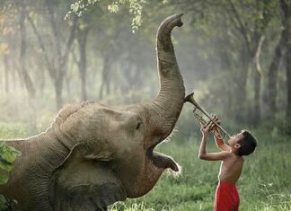 THAÏLANDE – CHRONIQUE : Un éléphant, ça trompe énormément… Rarindra Prakarsa