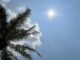THAÏLANDE – MÉTÉO : Un hiver retardé par des conditions atypiques soleil Thaïlande