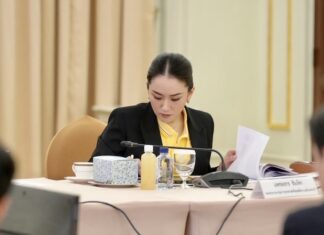 Ing Shinawatra