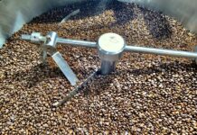 VIETNAM – CAFÉ : Les caféiers vietnamiens, ces arbustes miracles café Vietnam