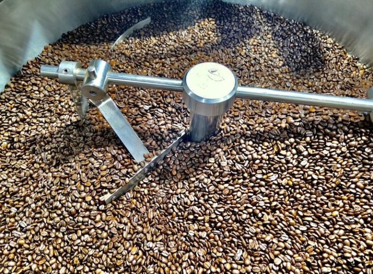 VIETNAM – CAFÉ : Les caféiers vietnamiens, ces arbustes miracles