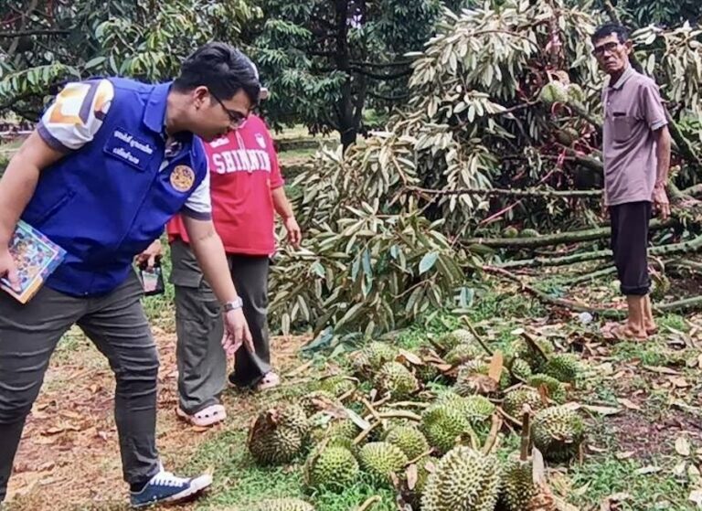 THAÏLANDE – SOCIÉTÉ : Un orage estival dévastateur frappe la province de Korat