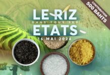 BANGKOK – COMMUNAUTÉ : Pour voyager au cœur du riz, rendez-vous le 16 mai avec Français du monde conférence riz Bangkok