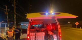 trafic animaux sauvages Thaïlande