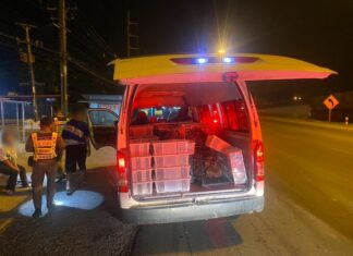 trafic animaux sauvages Thaïlande