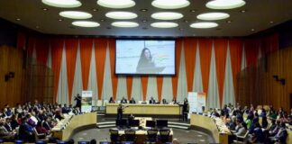 ECOSOC