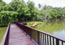Parc Bangpu