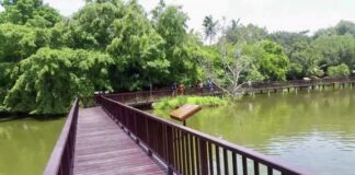 Parc Bangpu