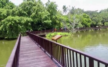 Parc Bangpu