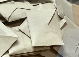 bulletins de vote européenne 2024