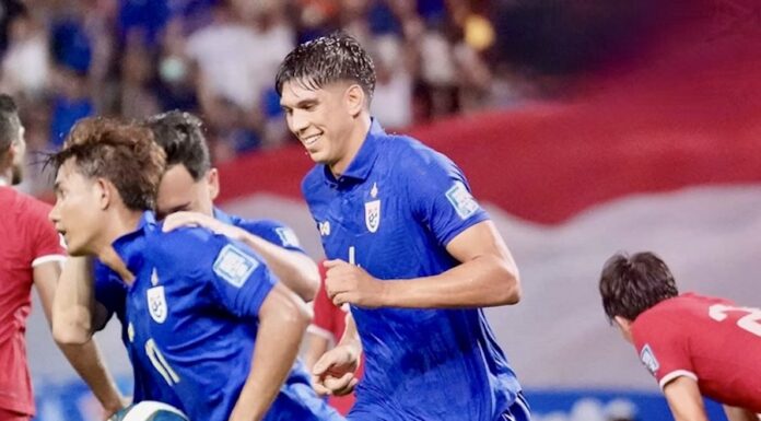 les éléphants thaïlandais