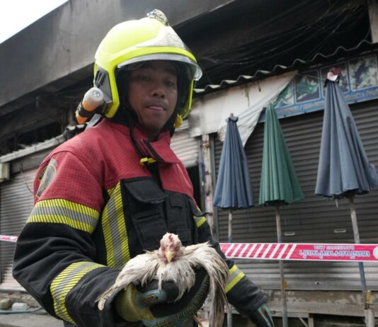 THAÏLANDE – SOCIÉTÉ : Après l’incendie de Chatuchak, les défenseurs des animaux se mobilisent pompier chatuchak