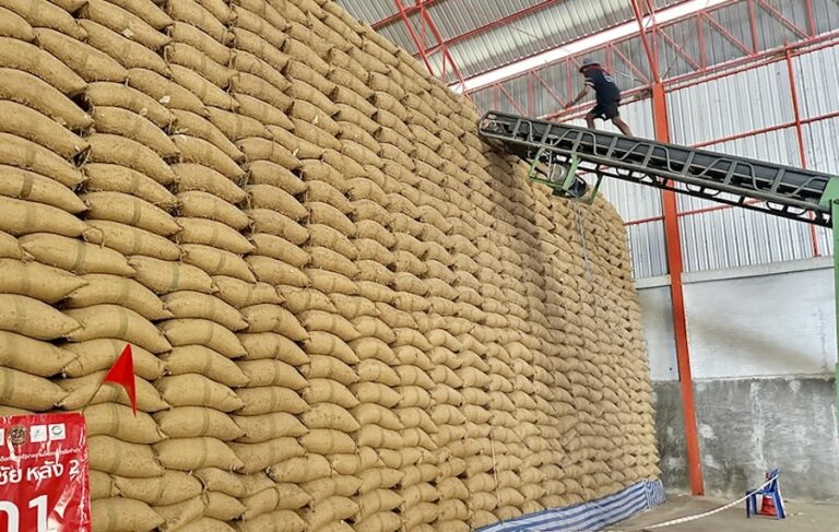 THAÏLANDE – RIZ : Les ventes aux enchères du riz « Yinluck » ont bien marché