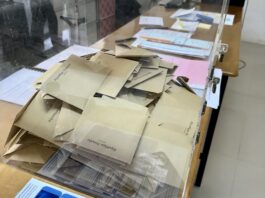 THAÏLANDE – FRANCE : Les difficultés du vote électronique des Français de l’étranger en voie de résolution vote élections européennes