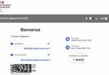 vote électronique