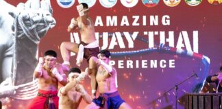 Muay-Thai Experience