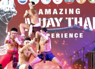 Muay-Thai Experience