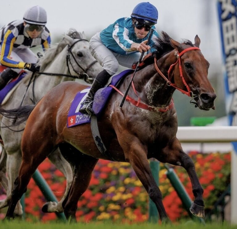 HONG KONG – SPORT : Le Jockey Club de Hong Kong investit sur les propriétaires de chevaux