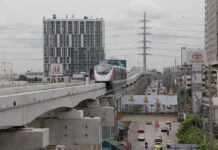 Bangkok Monorail rose