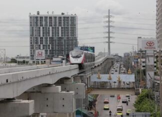 Bangkok Monorail rose