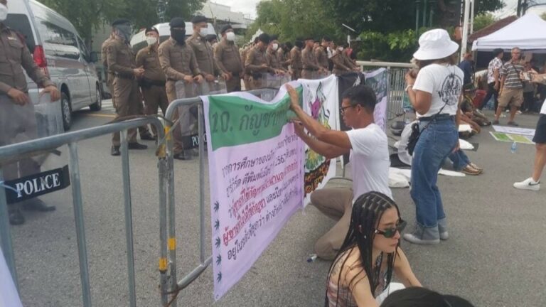 THAÏLANDE – SOCIÉTÉ : Grève de la faim des vendeurs de cannabis