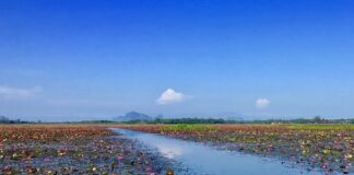 lac Songkhla